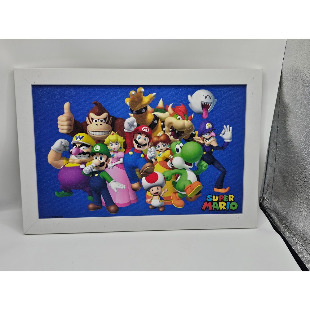 Nintendo Super Mario Brothers  Wall Art 19x13 White Frame Official Licensed